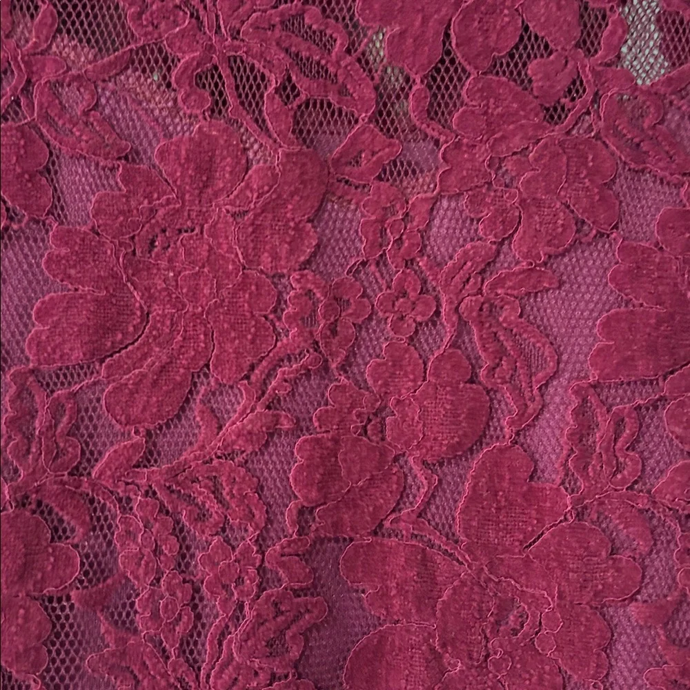 Anthropologie Blue tassel size M Elegant Lace Rapsberry  Top - Picture 2 of 6
